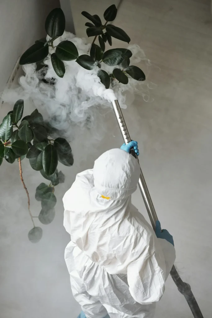 Trusted Pest Control - Woodhaven Best Pest Pros | Woodhaven, NY | 631-515-7555