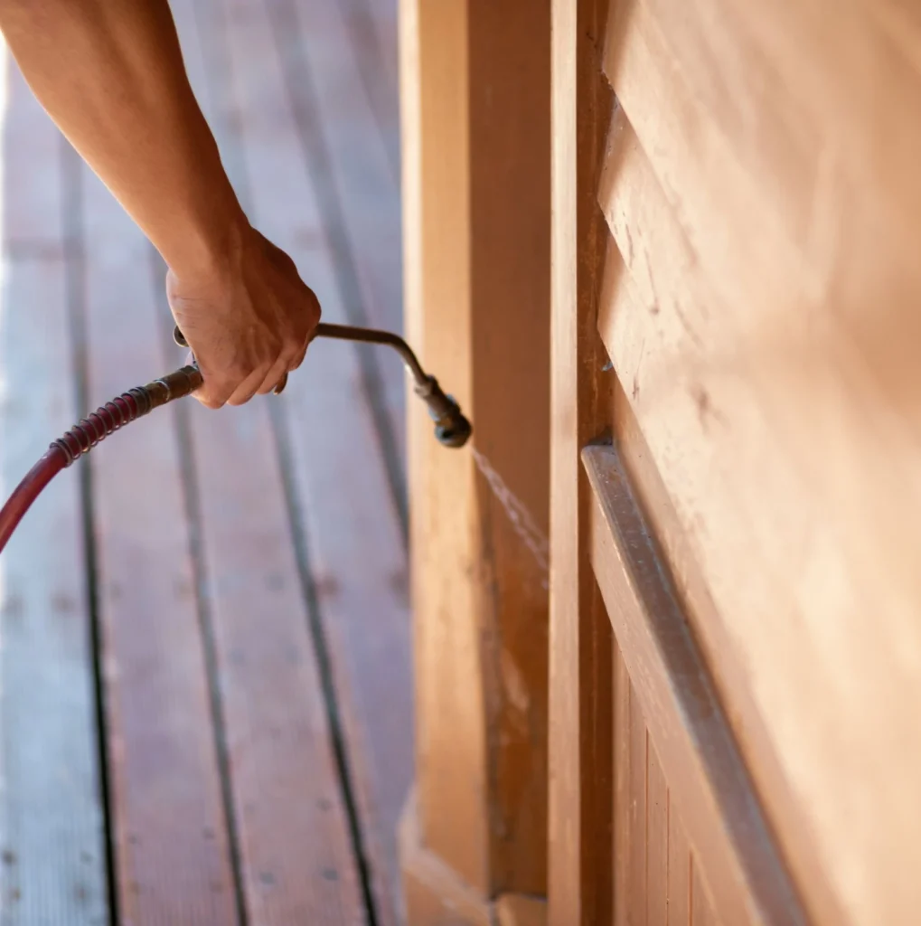 Trusted Pest Control - Woodhaven Best Pest Pros | Woodhaven, NY | 631-515-7555